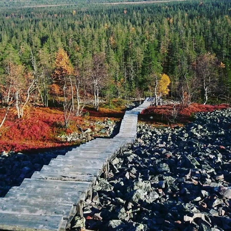 Villa Karhuntaehti Луосто Екстер'єр фото